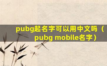 pubg起名字可以用中文吗（pubg mobile名字）